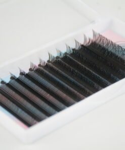 Alternative view of YY Lash