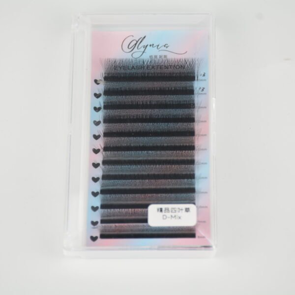4D W lash extension
