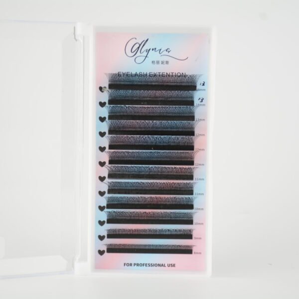 4D W lash extension